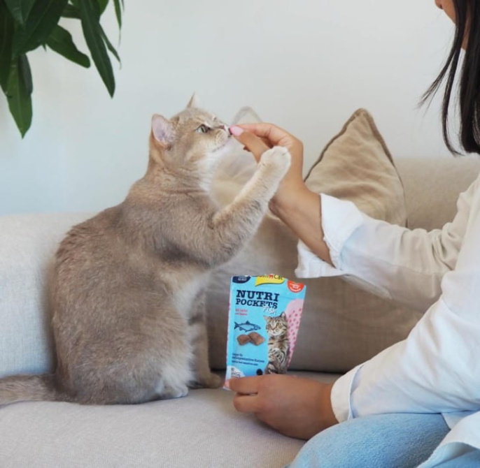 Лакомство для кошек GimCat Nutri Pockets (лосось) (60 гр.)