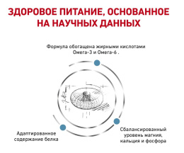 Сухой корм для кошек Royal Canin Skin & Coat