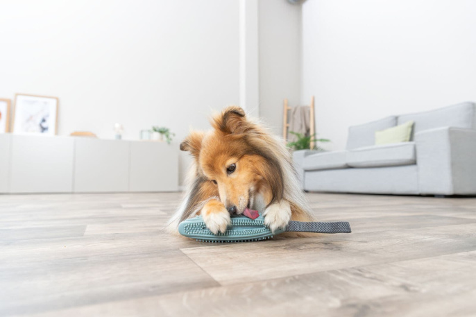 Игрушка для собак TRIXIE Snack Stick палка для снеков на ремешке (20см/31см)