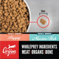 Сухой корм для собак ORIJEN MARINE FISH SMALL BREED DOG (1.8 кг)