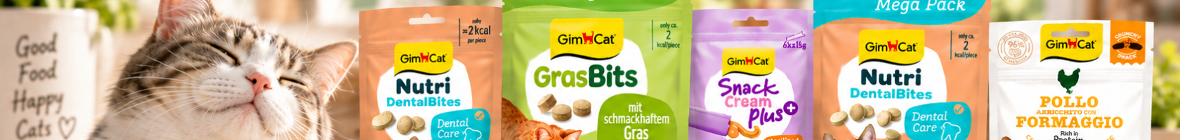 GimCat