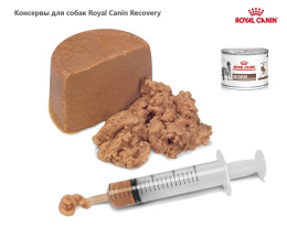 Консервы для собак Royal Canin Recovery