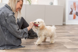 Игрушка для собак TRIXIE "Колбаска на верёвке"