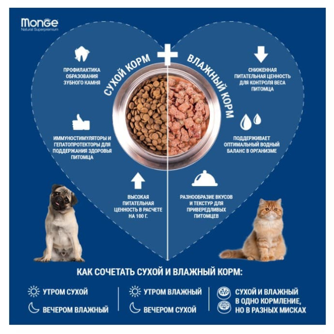 Сухой корм для собак Monge Dog Monoprotein Adult Mini (лосось, рис) (2,5 кг)