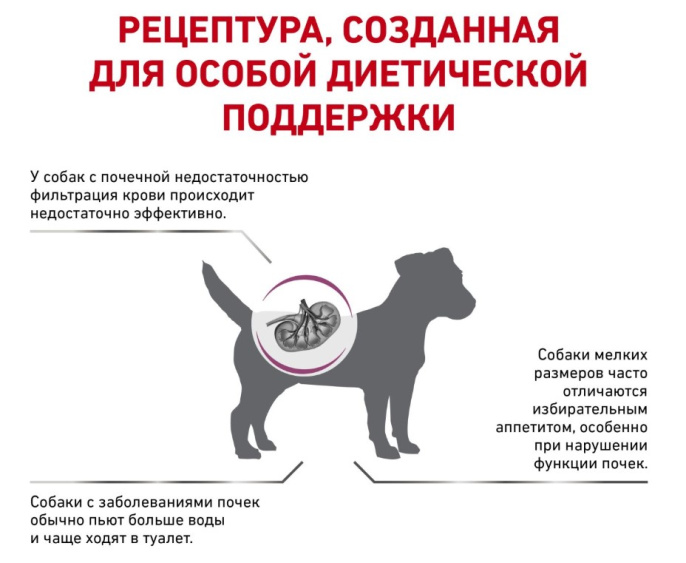 Сухой корм для собак Royal Canin Renal Small Dog (0,5 кг)