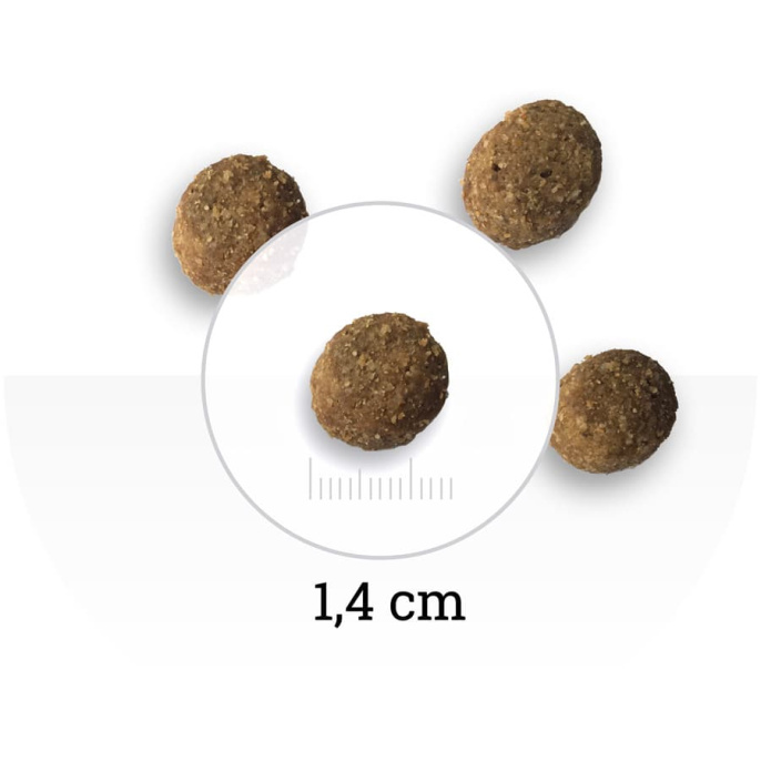 Сухой корм для собак Bon Appetit DOG Light (курица, рис)