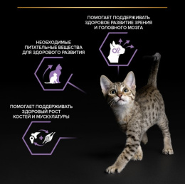Влажный корм для котят Pro Plan HEALTHY START Kitten кусочки в соусе (индейка)