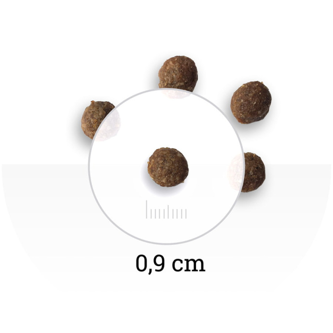 Сухой корм для собак мини пород Bon Appetit DOG Adult Mini (курица, рис)