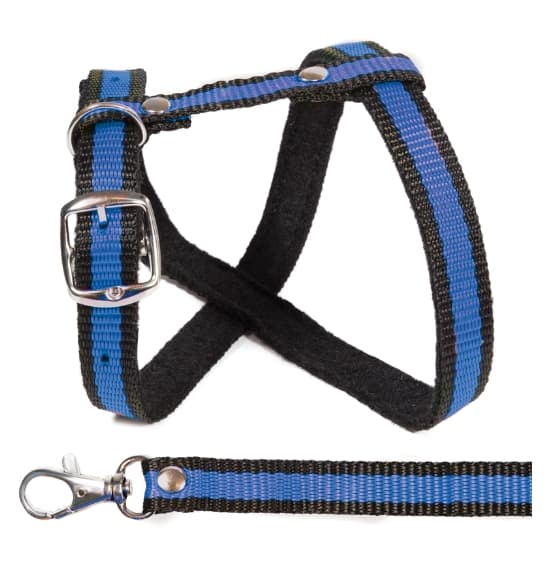 Комплект шлейка и поводок Gamma Прогулка