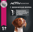 Сухой корм для собак Eukanuba Adult Medium Breed (птица) (3 кг)