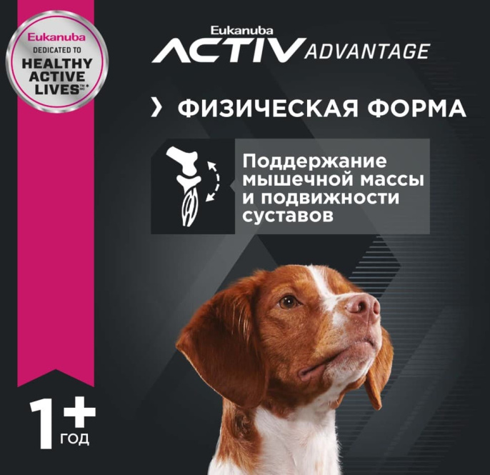 Сухой корм для собак Eukanuba Adult Medium Breed (птица) (3 кг)