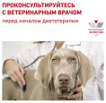 Сухой корм для собак Royal Canin Cardiac (2 кг)