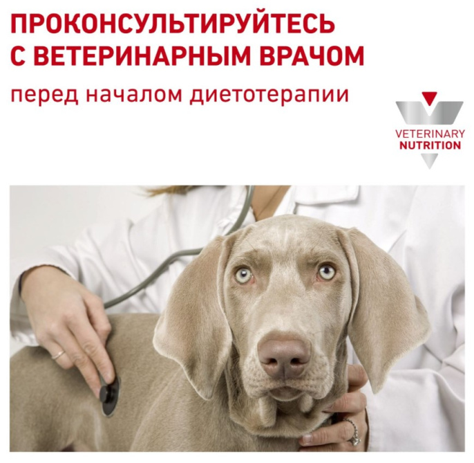 Сухой корм для собак Royal Canin Cardiac (2 кг)