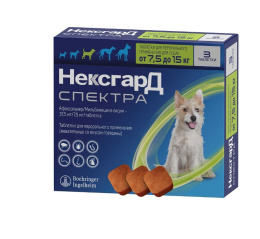 Снимок экрана 2026-08-13 202227