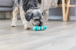 Игрушка для собак TRIXIE "DENTAfun Bone" со вкусом мяты