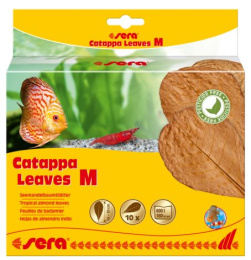Листья индийского миндаля SERA Catappa Leave 10 шт