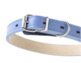 Ошейник для собак Mr.Kranch из натуральной кожи прямой васильковый