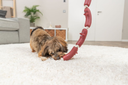 Игрушка для собак TRIXIE "Колбаска на верёвке"