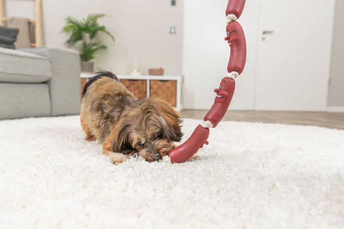 Игрушка для собак TRIXIE "Колбаска на верёвке" (11 см)