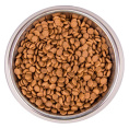 Сухой корм для котят Monge Monoprotein Kitten (форель) (10 кг)
