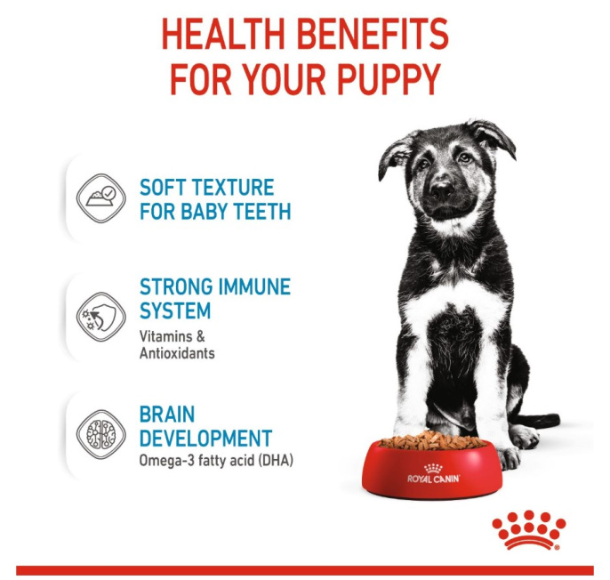 Влажный корм для щенков Royal Canin Maxi Puppy (соус) (140гр.*10 шт)