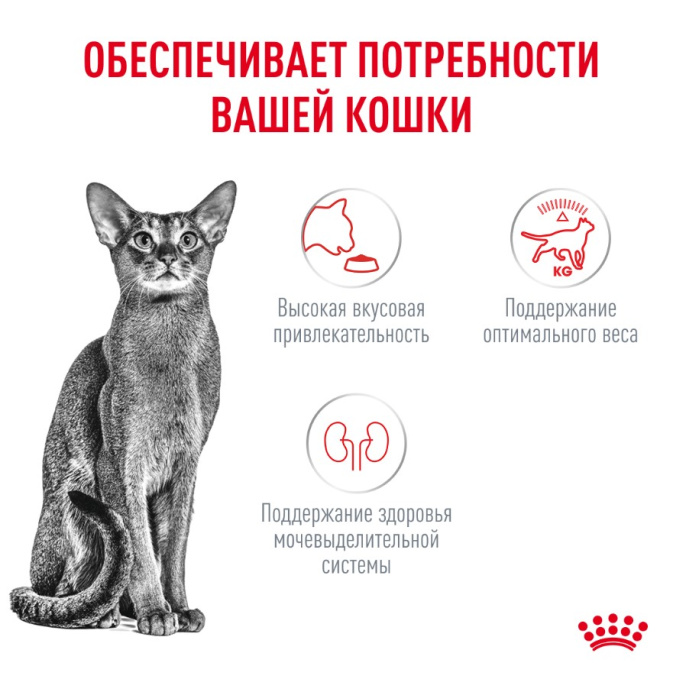 Корм сухой для привередливых кошек Royal Canin Fussy (0,4 кг)