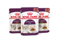 Влажный корм для кошек Royal Canin Мультипак Sensory (в соусе) ( 3x4x85г)