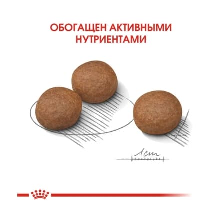 Сухой корм для собак Royal Canin Medium Digestive Care (12 кг)
