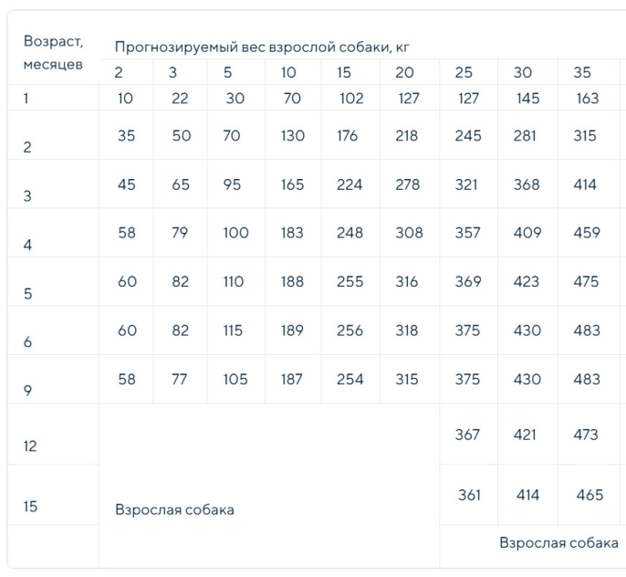 Сухой корм для щенков ZILLII Puppy (индейка, ягненок) (800 гр)