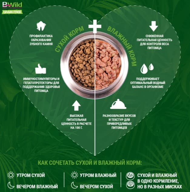 Консервы для щенков Monge BWild GF Puppy & Junior (утка) (400 гр.)