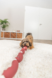 Игрушка для собак TRIXIE "Колбаска на верёвке"