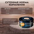 Снимок экрана 2026-08-13 221824