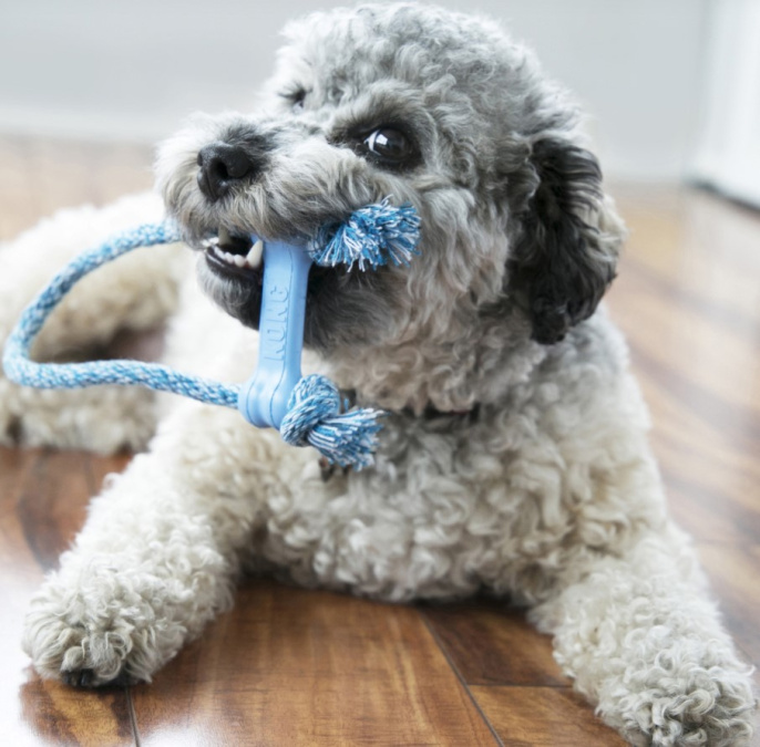 KONG Игрушка для собак Puppy Goodie Bone (XS)