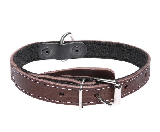 Ошейник кожаный на синтепоне с кольцом Gamma (20 х 450 мм)