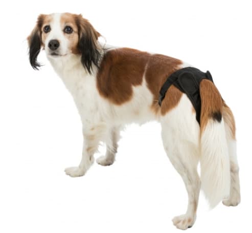 Штанишки для собак с застёжкой-липучкой TRIXIE