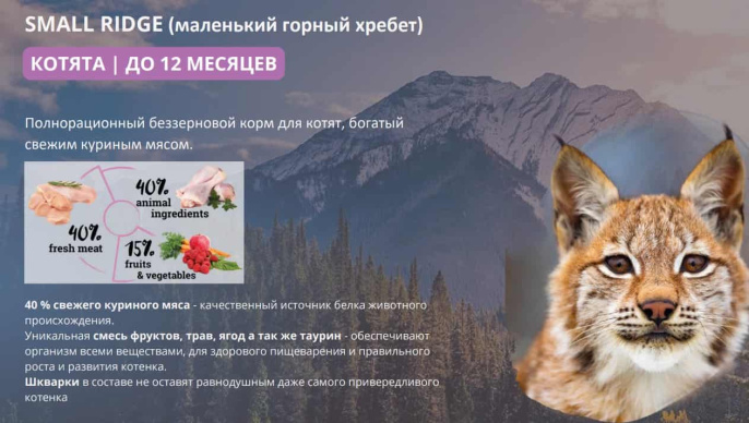 Сухой корм для котят Natura Wild Kitten Small Ridge (курица) (2 кг)