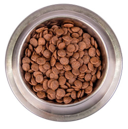 Сухой корм для собак Monge Dog BWild LG Adult All Breeds (гусь)