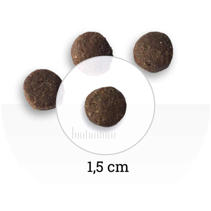 Сухой корм для собак Bon Appetit DOG Adult (курица, рис)