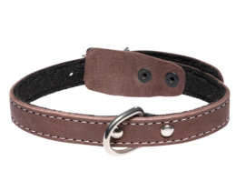 Ошейник кожаный на синтепоне с кольцом Gamma