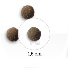 Сухой корм для собак Bon Appetit DOG Adult (ягненок, лосось, рис)