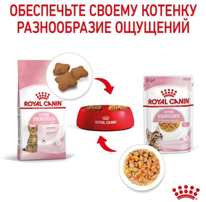 Влажный корм для котят Royal Canin Kitten Sterilized (в желе) (85 гр*12 шт)