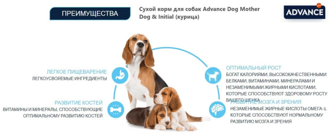 Сухой корм для собак Advance Dog Mother Dog & Initial (курица) (3 кг)