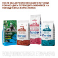 Сухой корм для собак Monge VetSolution Renal Dog (2 кг)