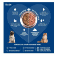 Сухой корм для собак Monge Dog Monoprotein Extra Small Adult (лосось, рис) (800 гр.)