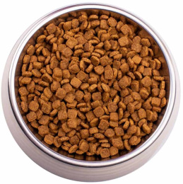 Сухой корм для кошек Gemon Cat Indoor (курица, рис)