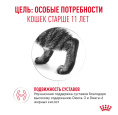 Влажный корм для пожилых кошек Royal Canin Ageing 11+ (кусочки в желе) (85гр.х12 шт)
