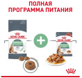 Сухой корм для кошек Royal Canin Digestive Care (2 кг)