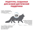 Сухой корм для кошек Royal Canin Skin & Coat (0,35 кг)