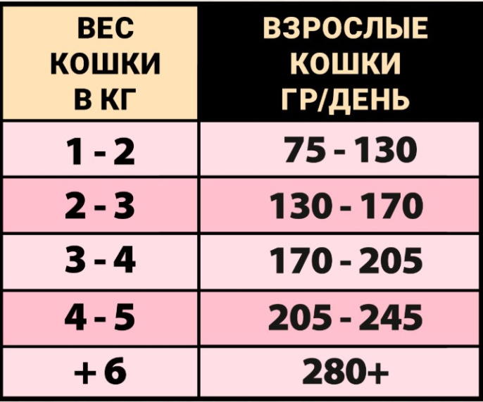 Консервы для кошек Natural Greatness Kitten & Adult (курица, яблоко, ананас, папайя) (185 гр.)