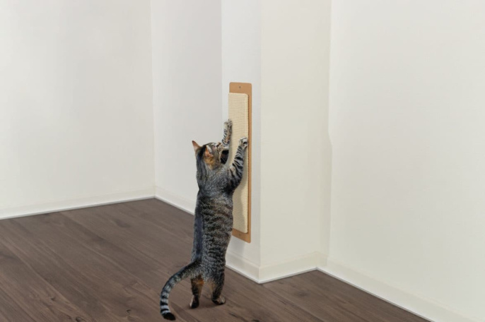 Когтеточка для кошек TRIXIE Jambo, бежевый (11x56 см)